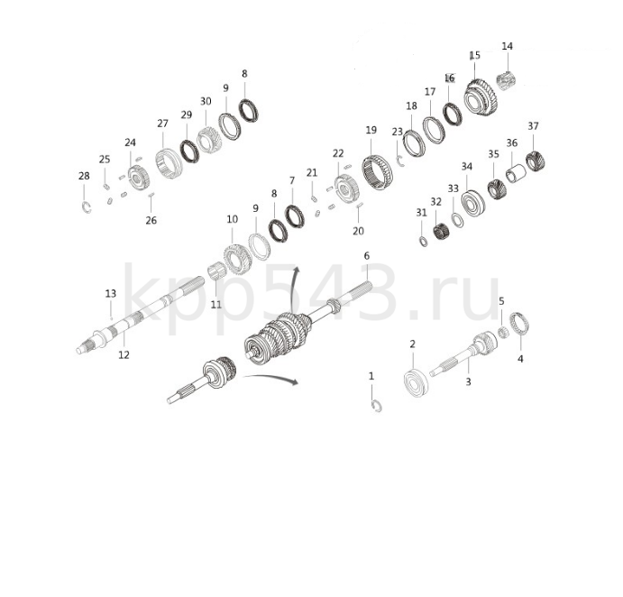 Wingle 744 3-1 (2)