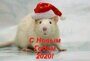 ГРАФИК РАБОТЫ МАГАЗИНА НА НОВОГОДНИЕ ПРАЗДНИКИ 2020.